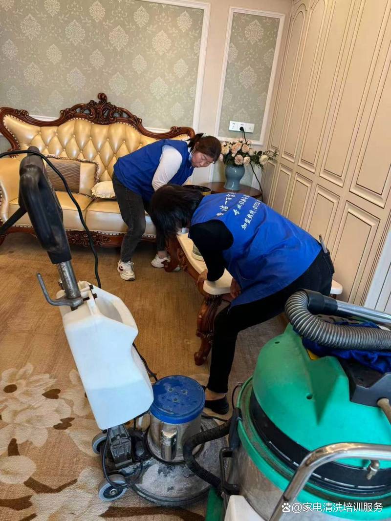 惠州家用地毯清洗家政服务